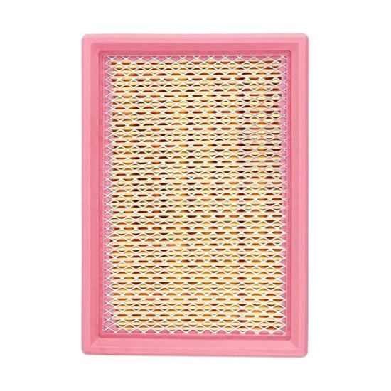 Can-am Hava Filtresi Ryker Spyder Rs St Rt Air Filter Spyder