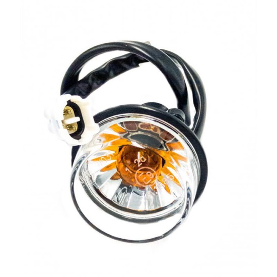 Can Am Flasher (Flaşör)