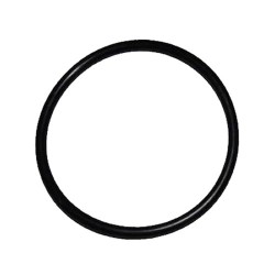 Can Am O-ring
