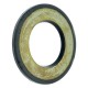 Can Am Oi̇l Seal Brp