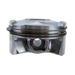 Can Am Piston Assembly 90.955 Mm