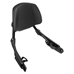 Can Am Sirt Dayama Backrest Passenger Kit