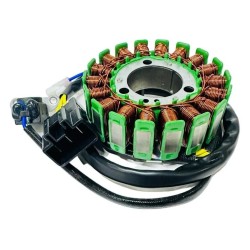 Cf Moto Nk 250 Sr 250 Stator 