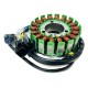 Cf Moto Nk 250 Sr 250 Stator 