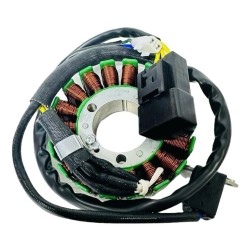 Cf Moto Nk 250 Sr 250 Stator 