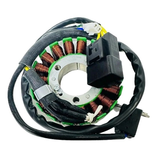 Cf Moto Nk 250 Sr 250 Stator 