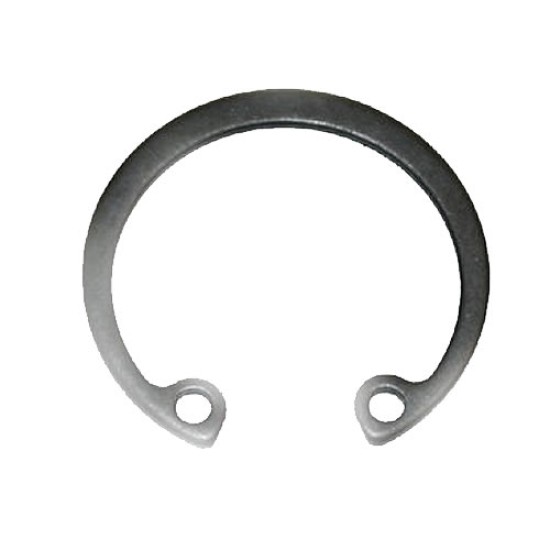 Cf Moto Piston Pim Segmanı 21x25x1 Trl-5trl-6 Trc-6