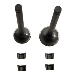 Emme Egzoz Supabı Takım Dq Emme Egzoz Supabı Takım Dq