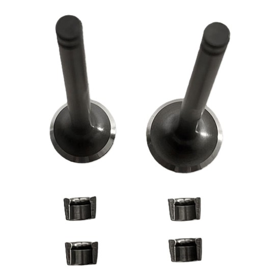 Emme Egzoz Supabı Takım Dq