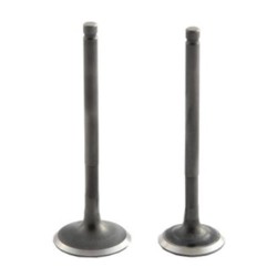 Fızy Subap Takımı Tırnaklı Dq