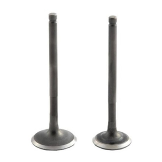 Fızy Subap Takımı Tırnaklı Dq