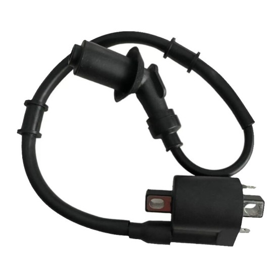 Mondial Ateşleme Bobini ( Rtm-10,rtm-00)