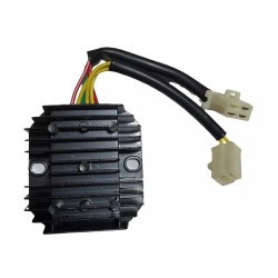 Mondial Turismo 50 Regülatör