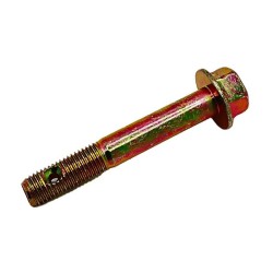 Polari̇s Altigen Pul Basligi M10x1.25x65 Bolt