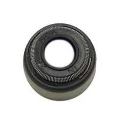 Polari̇s Emme Valfi Contasi Seal Intake Valve