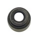 Polari̇s Emme Valfi Contasi Seal Intake Valve