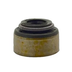 Polari̇s Emme Valfi Contasi Seal Intake Valve