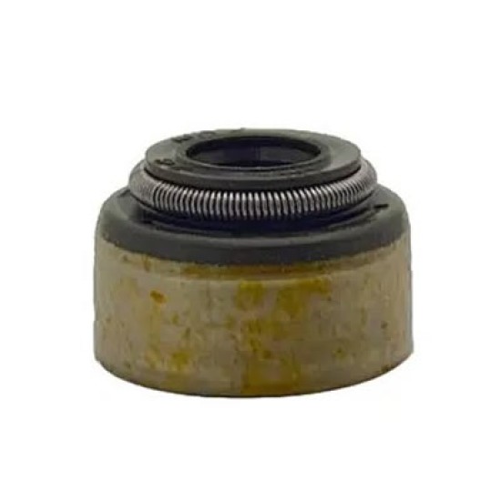 Polari̇s Emme Valfi Contasi Seal Intake Valve