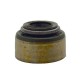 Polari̇s Emme Valfi Contasi Seal Intake Valve