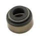 Polari̇s Emme Valfi Contasi Seal Intake Valve