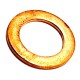 Polaris Pul Washer 19x12x1.3 Copper 10