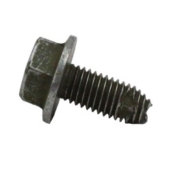 Polari̇s Sasi Tampon Civatasi M8x1.25x20