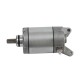 Polaris Silindir Marş Motoru Starter 1-cyl