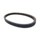 Polaris Trıger Kayısı Belt-drıve Rzr