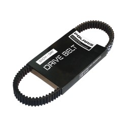 Polaris Trıger Kayısı Belt-drıve Rzr