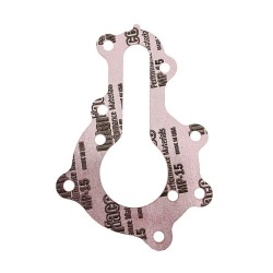 Polari̇s Yağ Pompasi Kapak Contasi Seal-oil Pump Cap Q50/60
