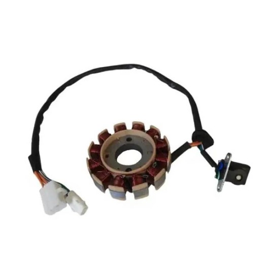 Scooter Efi 50cc Statör