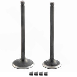 Subap Takimi Tirnakli Dq 125cc Scooter