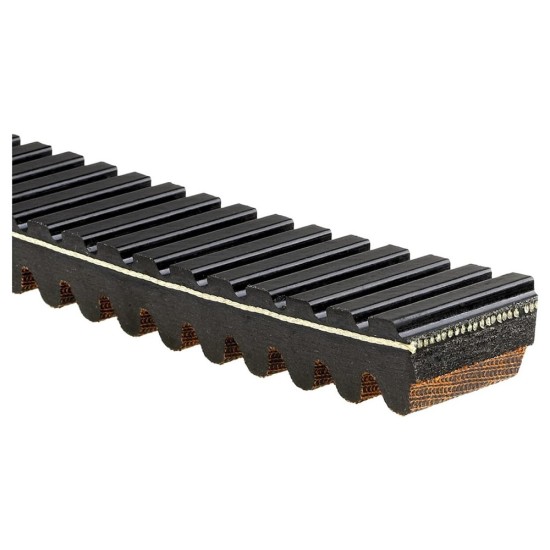 Trıger Kayısı 28r3982 Gates